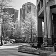 The Proscenium In Midtown Atlanta In B And W Poster