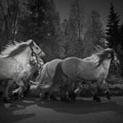 The Queen's Horses Poster