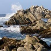 The Rugged Shore Of Pacific Grove Poster