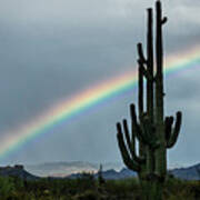 The Saguaro And The Rainbow Poster