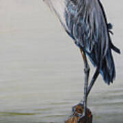 The Sentinel - Portrait Of A Great Blue Heron Poster