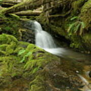 The Serenity Of A Small Waterfall Poster