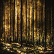 The Silent Woods Poster