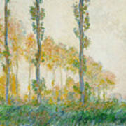 The Three Trees, Autumn, 1891 C Monet Poster