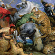 The Tiger Hunt By Rubens Poster