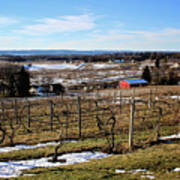 The Vineyard On Old Mission Poster