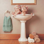 The Washbasin Poster