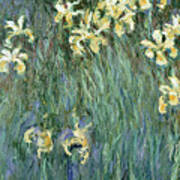 The Yellow Irises Poster