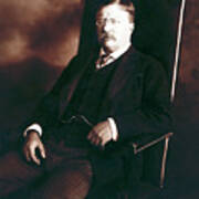 Theodore Roosevelt - President Of The United States Poster