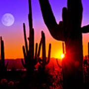 Third Sunset At Saguaro Poster