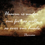Thoreau Nature Quote Poster