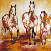Three Pinto Indian Ponies Poster