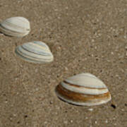 Three Shells West Sands Poster