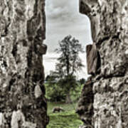 Through The Castle Window Poster