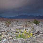 Thunderstorm Over Death Valley National Park Poster