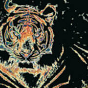 Tiger Tiger Poster