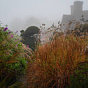Topiary Peacocks In The Autumn Mist, Great Dixter 2 Poster