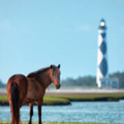 Tour Guide Cape Lookout 3509 Poster