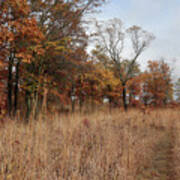 Trail Through The Autumn Prairie Poster