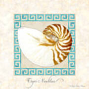 Treasures From The Sea - Tiger Nautilus Shell Poster