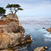 Tree Of Dreams - Lone Cypress Tree At Pebble Beach In Monterey California Poster