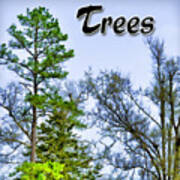 Trees Logo Poster