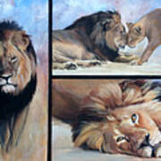 Tribute To Cecil The African Lion Poster