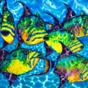 Trigger Fish - Caribbean Sea Poster