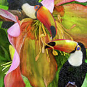 Tropic Spirits - Toco Toucans Poster