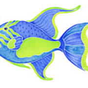 Tropical Blue Triggerfish Poster