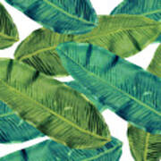 Tropical Leaves 7 Poster