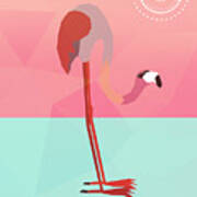 Flamingo Beautiful Birds Poster