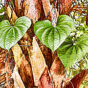 Tropical Forest Vine Poster