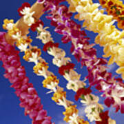 Tropical Leis Poster