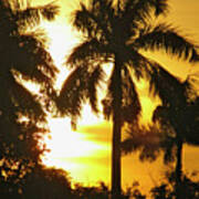 Tropical Sunset Palm Poster