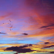 Tropical North Queensland Sunset Splendor Poster