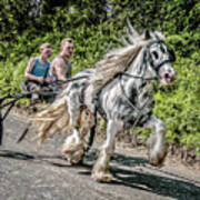 Trotting At Appleby Horse Fair Poster