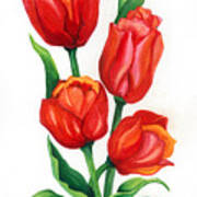 Tulip Time Poster