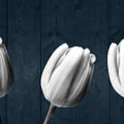 Tulips And Wood Poster