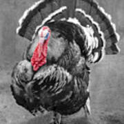 Turkey Boss Poster