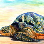 Turtle At Poipu Beach 8 Poster
