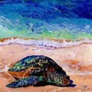 Turtle At Poipu Beach 9 Poster