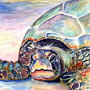 Turtle At Poipu Beach Poster