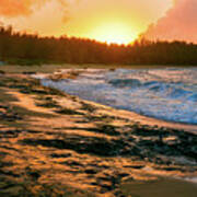 Turtle Bay Sunset 2 Poster
