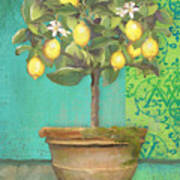 Tuscan Lemon Topiary - Damask Pattern 1 Poster