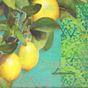 Tuscan Lemon Tree - Citrus Limonum Damask Poster