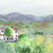 Tuscan Vineyards Poster