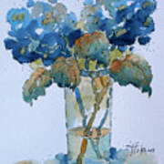 Two Blue Hydrangea Poster