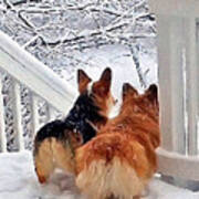 Two Corgis In The Snow Poster