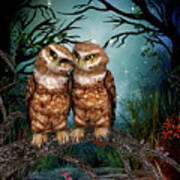 Two Owls In The Night Poster